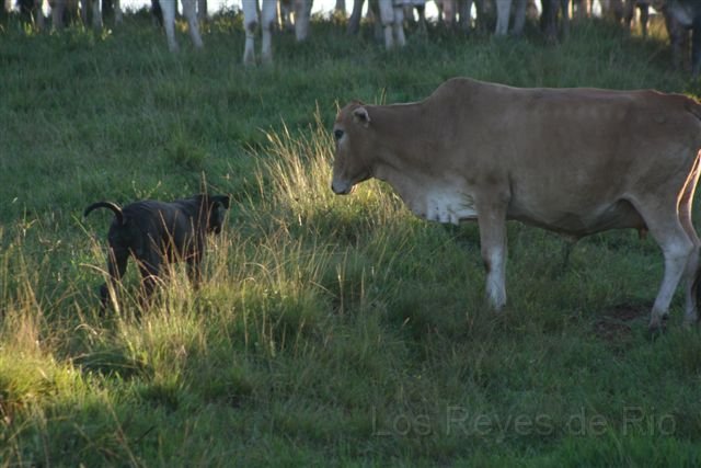 Februar 2013 124.JPG